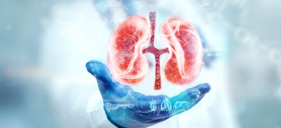 Nephrology